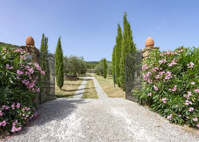 San Martino Agli Ulivi *